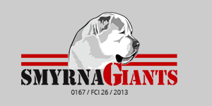 Brand Logo 22